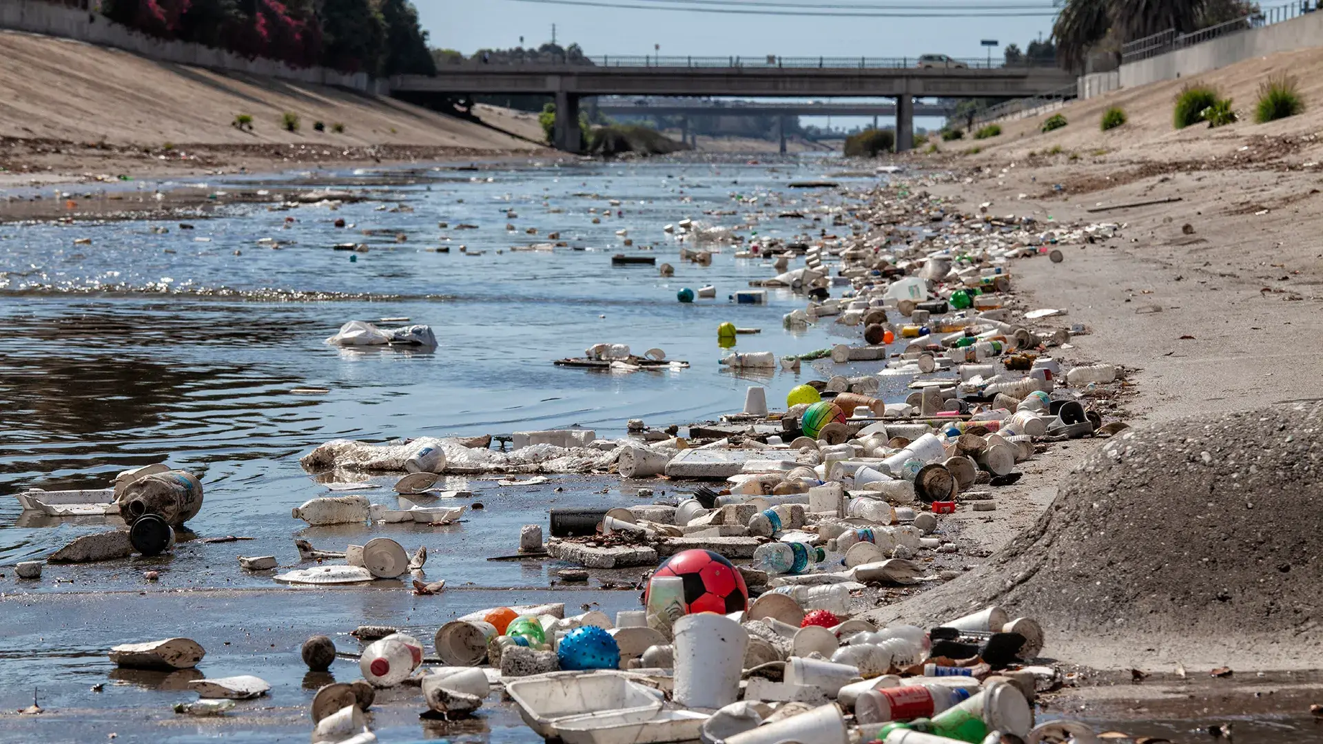 Water Pollution Reduces Life Expectancy Through Disease Transmission