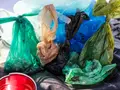 Is India on the list? Top 10 countries responsible for the most single-use plastic waste