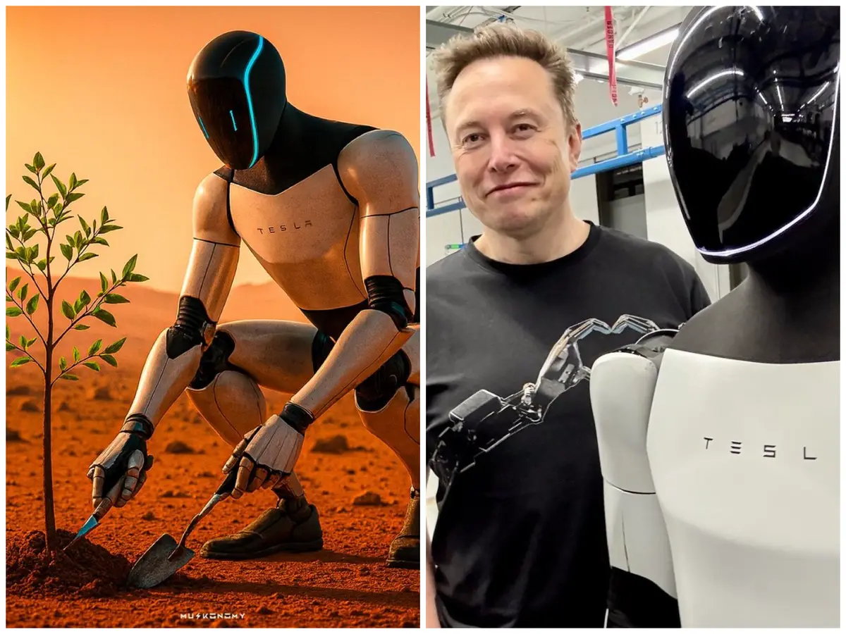 Elon Musk's Vision of a Post-Work Society
