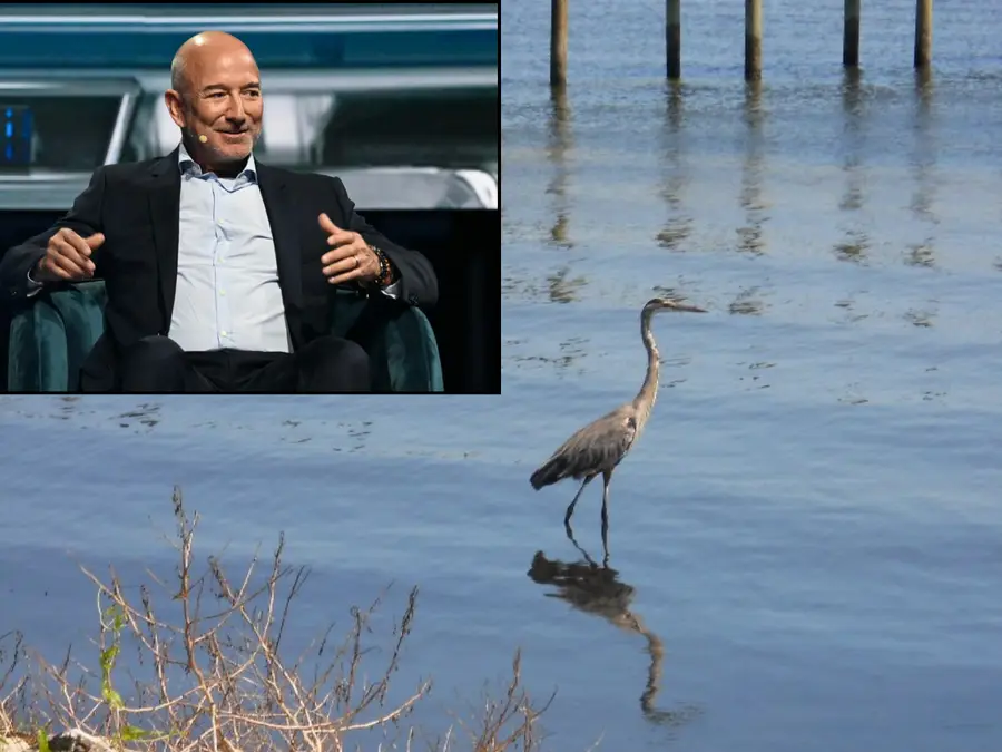 Bezos's space company wants to dump 500,000mn gallons of wastewater per day into Indian River Lagoon