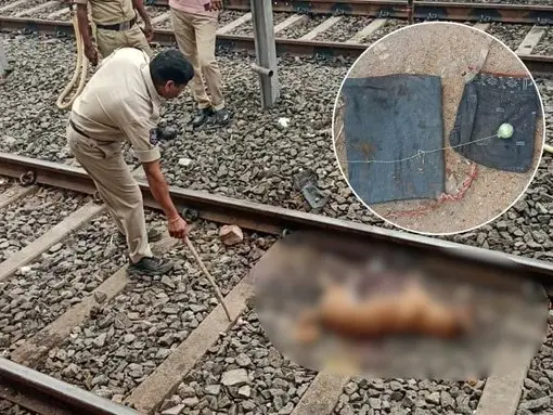 Telangana: Stray dog bites crude bomb wrapped in cloth, dies on railway track Telangana: Stray dog bites crude bomb wrapped in cloth, dies on railway track