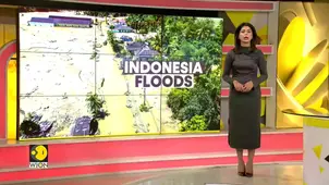 Indonesia Floods: Residents Struggle to Salvage Rice Harvest in Indonesia's West Sumatra 