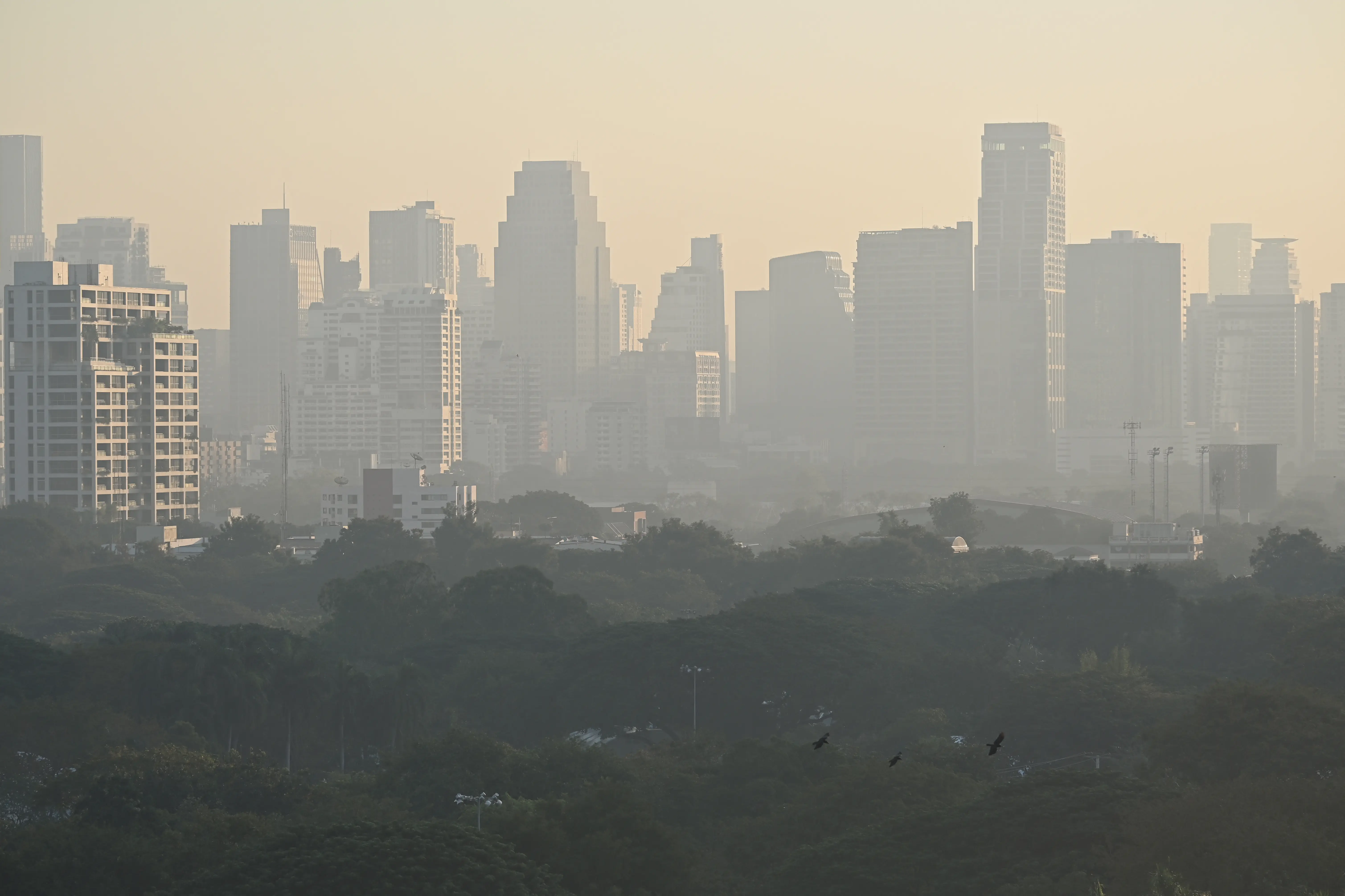 Thailand cyberscam crackdown: $300M in assets seized, 42 arrest warrants issued