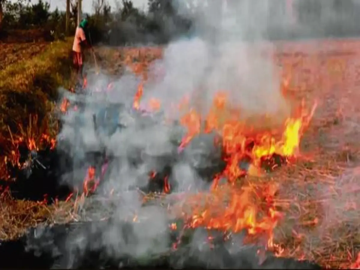 Farm fires going uncounted? ISRO study points to shift in stubble-burning time