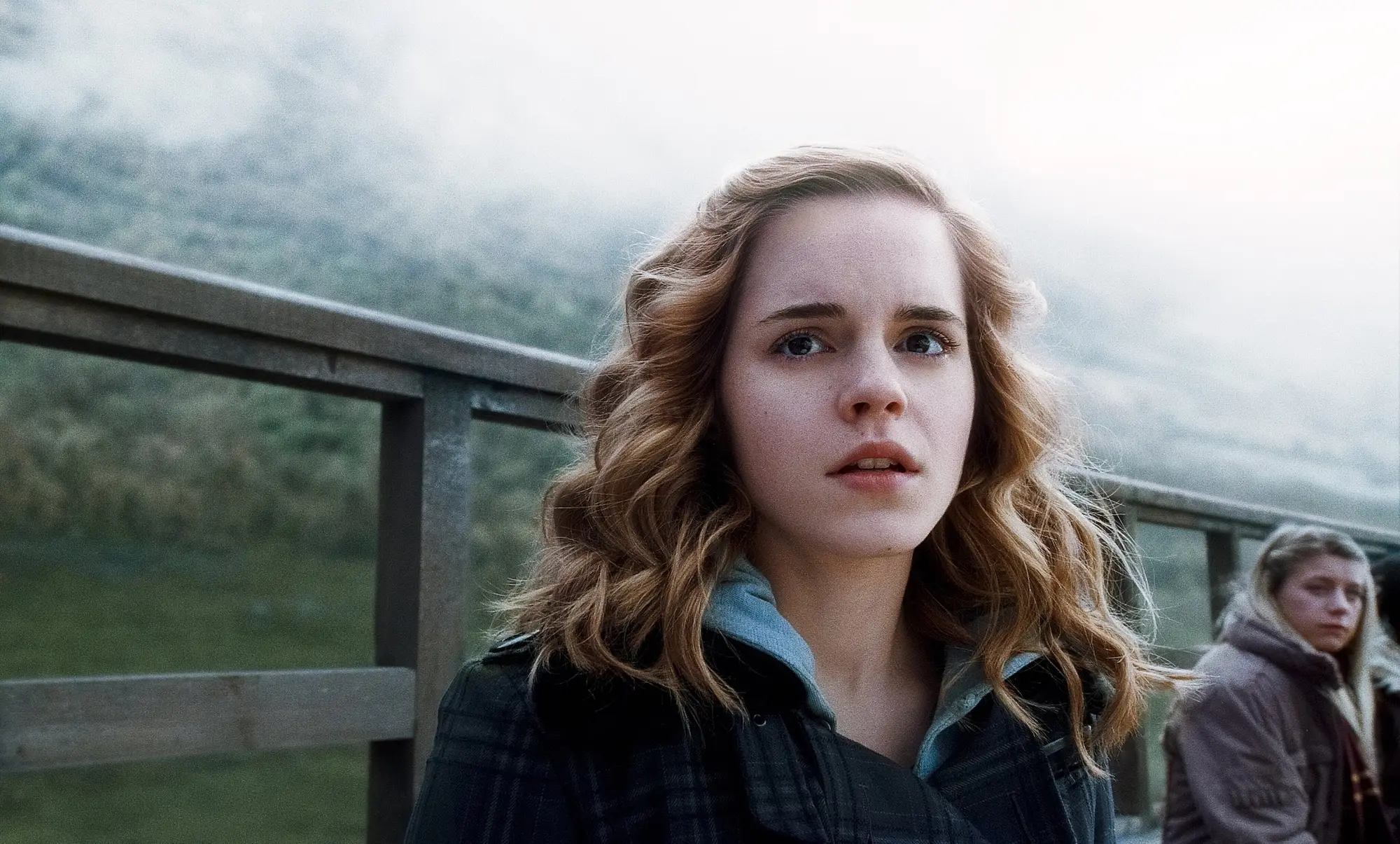 Hermione Granger (Harry Potter franchise)