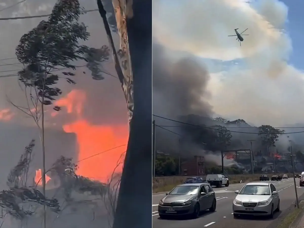 Australia bushfire engulfs dozen homes, over 1,500 firefighters deployed | VIDEO