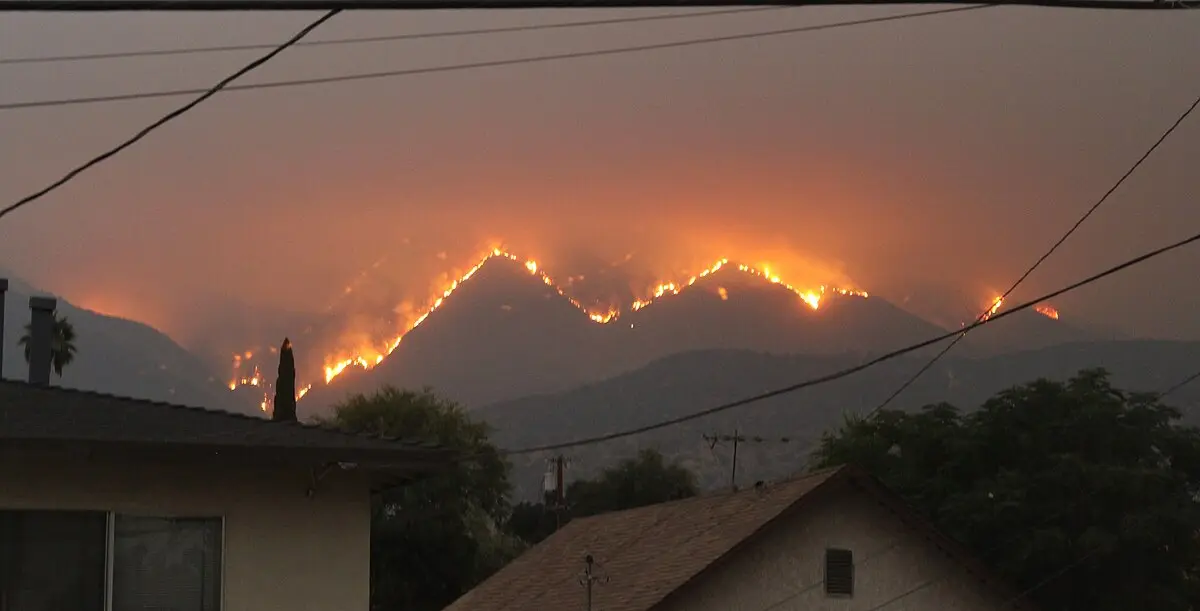 5. Los Angeles fires