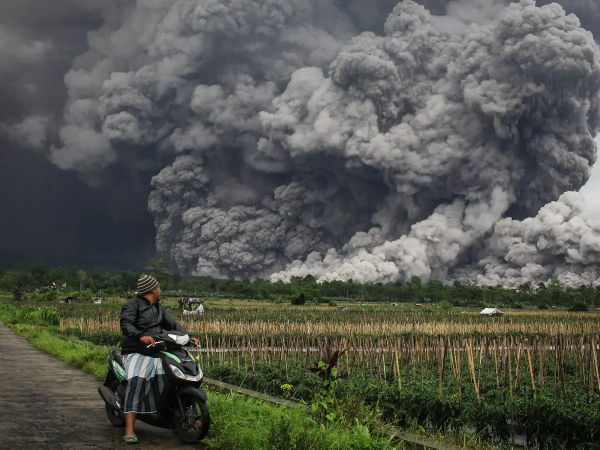 Nostradamus prophecies for 2025