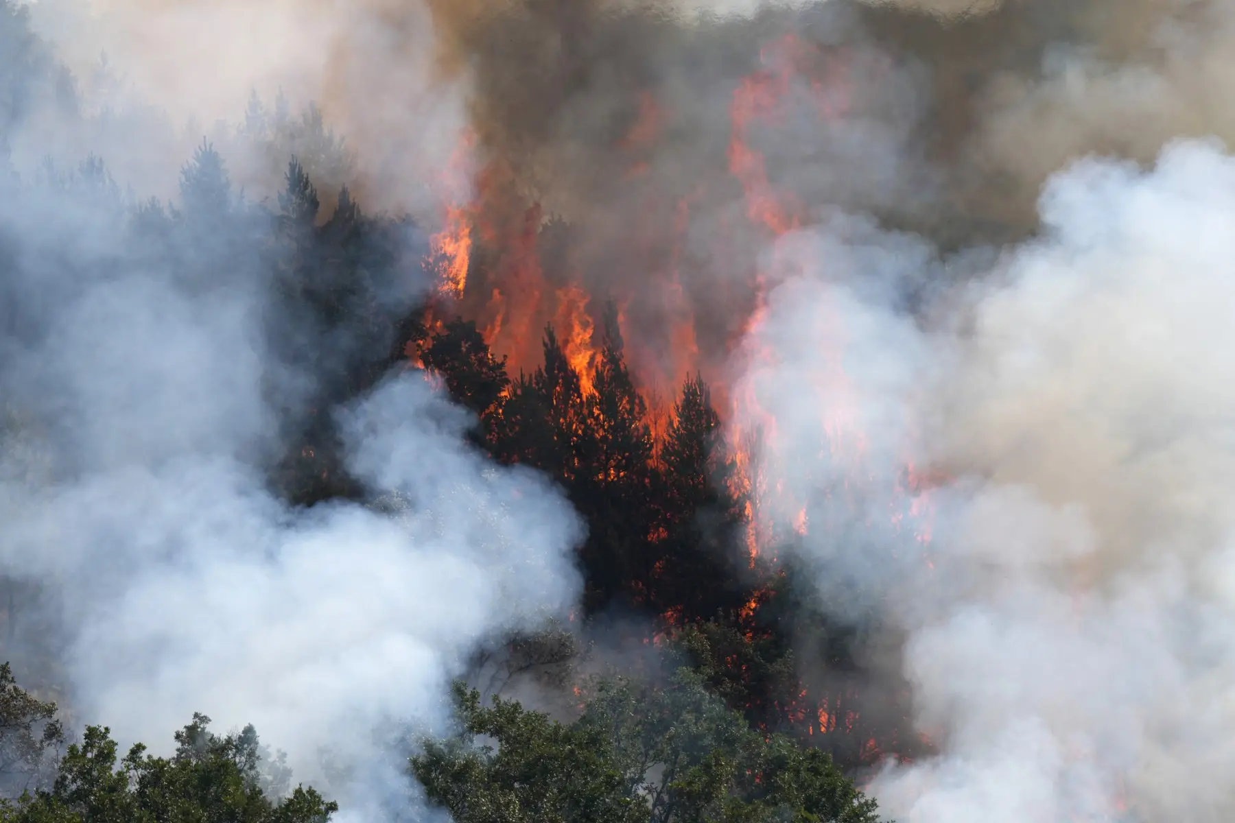 World faces $800bn annual bill as climate disasters batter infrastructure, warns global coalition CDRI