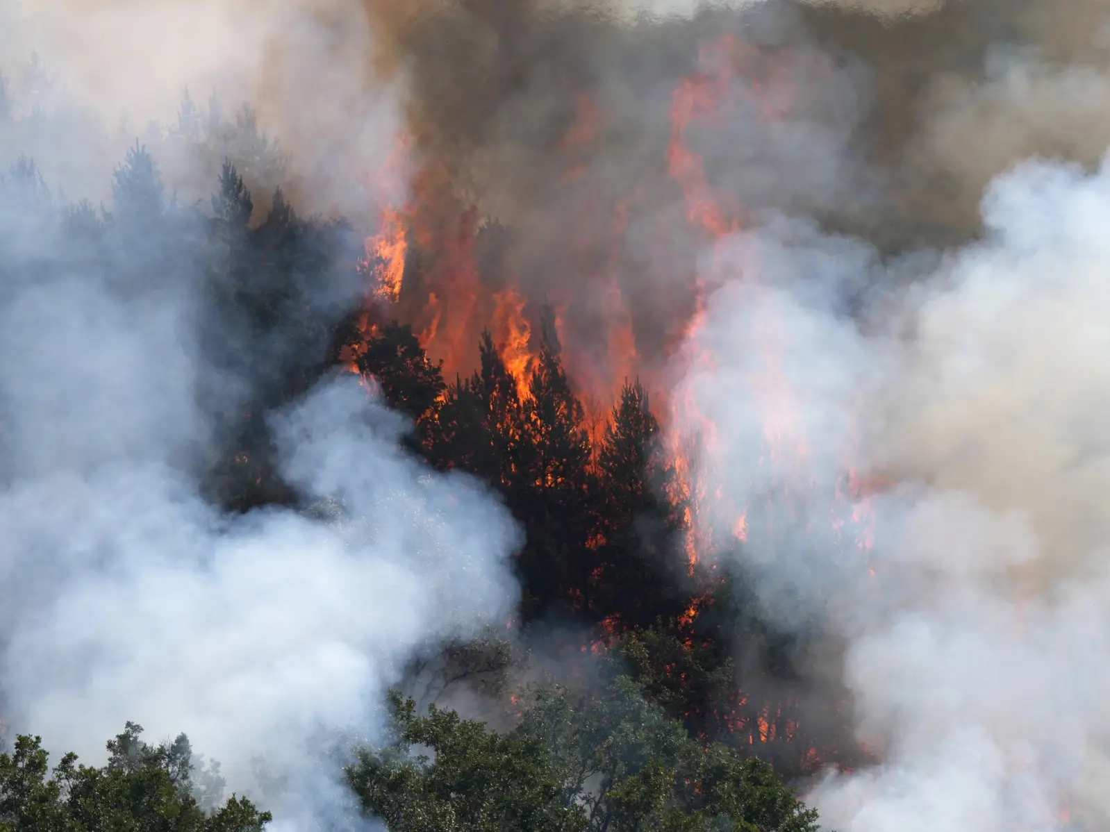 World faces $800bn annual bill as climate disasters batter infrastructure, warns global coalition CDRI World faces $800bn annual bill as climate disasters batter infrastructure, warns global coalition CDRI