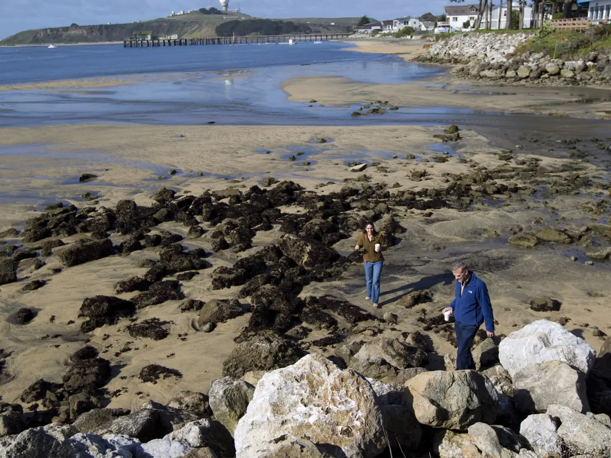 Japan's Earthquake Early Warnings System