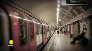 London underground Mosquitoes has Egyptian bloodlines
