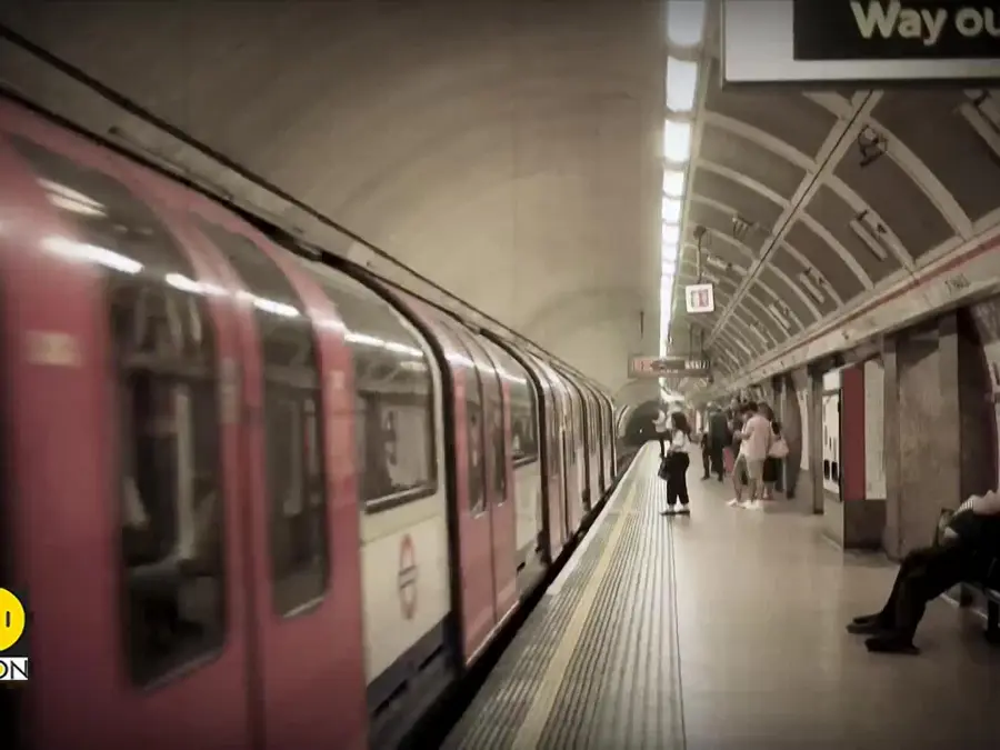 London underground Mosquitoes has Egyptian bloodlines