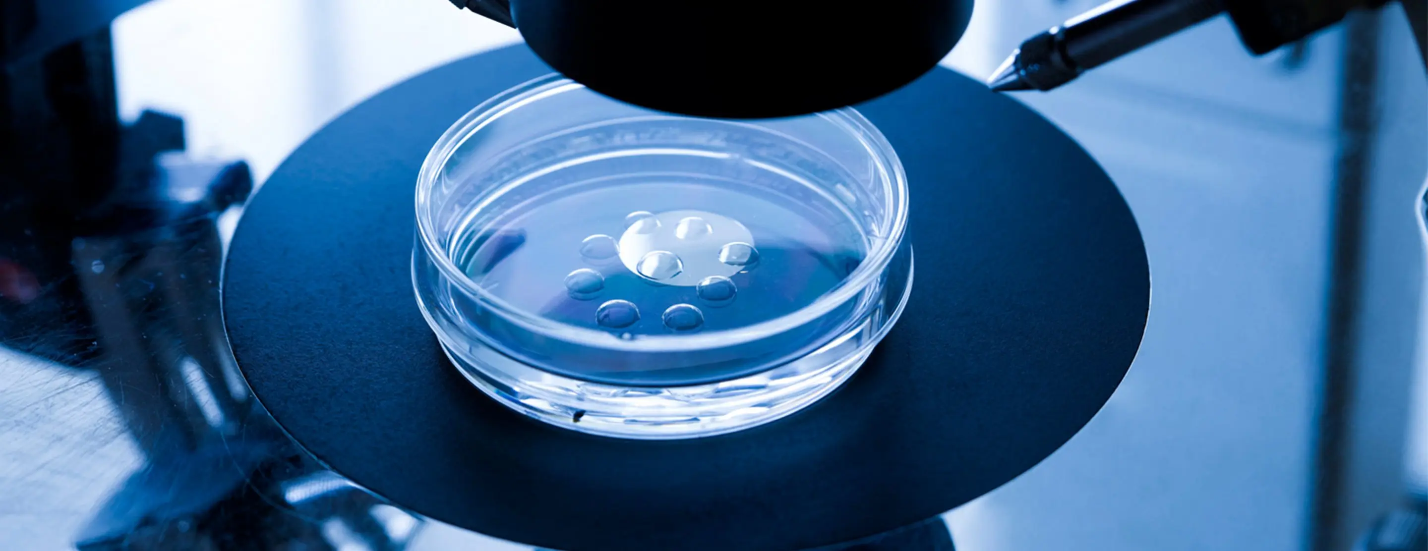 Sperm donor scandal: Cancer-risk gene passed by donor to 200 children in Europe
