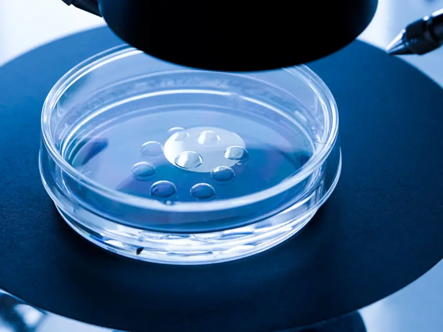 Sperm donor scandal: Cancer-risk gene passed by donor to 200 children in Europe