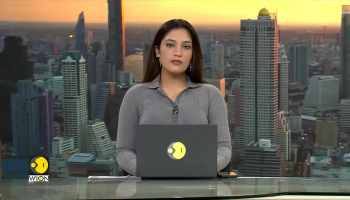 Israel-Hamas War: Ex- IDF Hostage Czar Makes Shocking Claims 