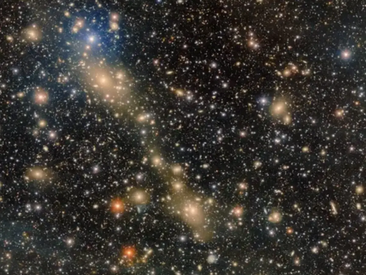 Stellar burglary forming a bridge of stars