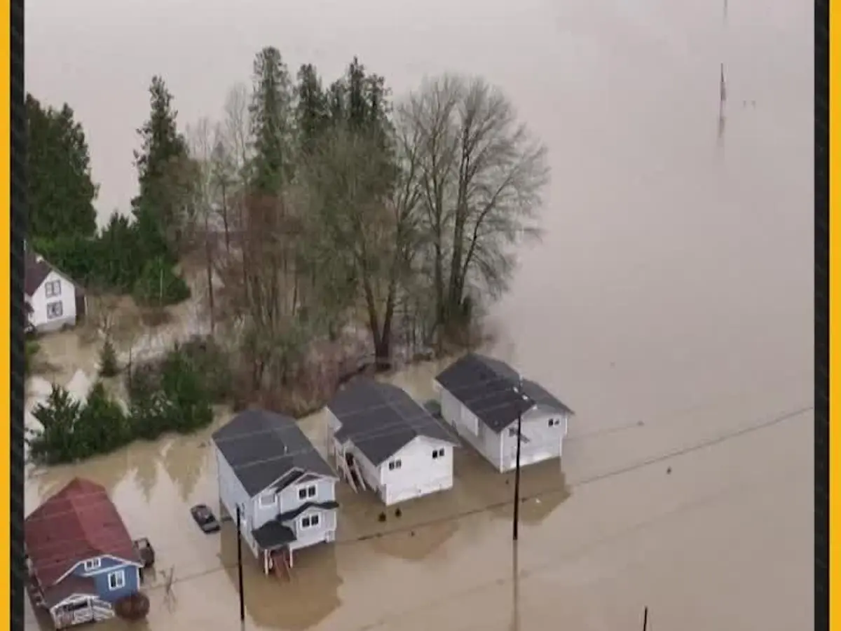Washington Floods: Drone Captures Homes Surrounded by Water