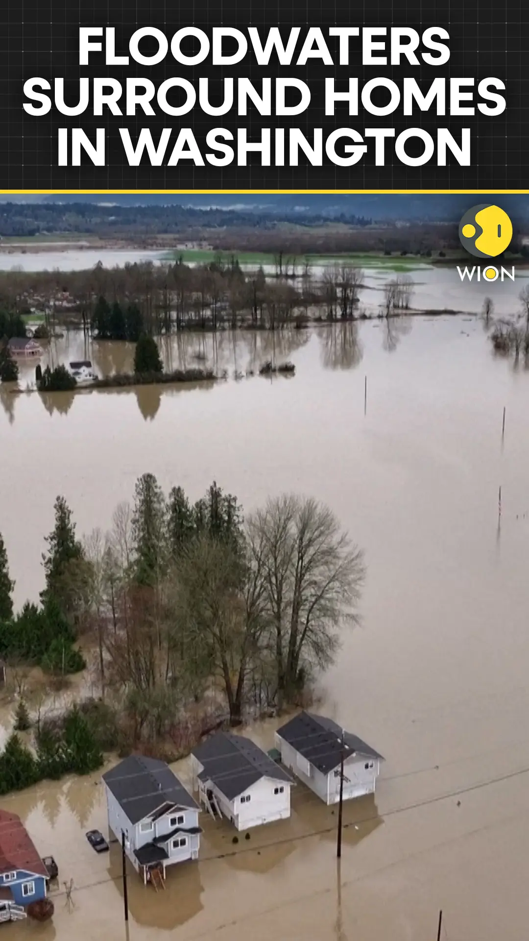 Washington Floods: Drone Captures Homes Surrounded by Water