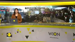 French Farmers Protest Culling of Over 200 Cows Over Single Disease Case