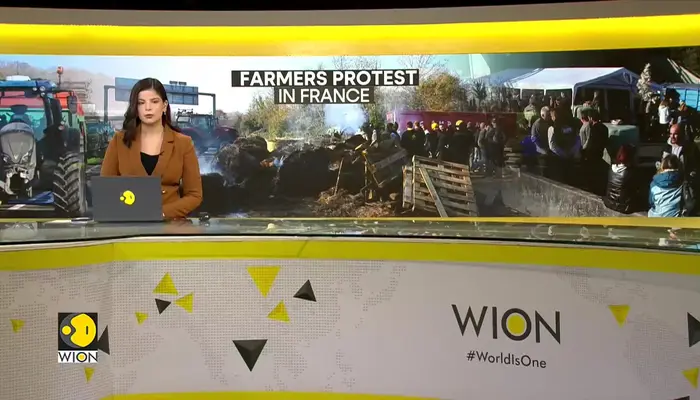 French Farmers Protest Culling of Over 200 Cows Over Single Disease Case