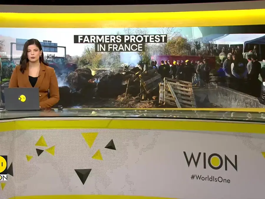 French Farmers Protest Culling of Over 200 Cows Over Single Disease Case