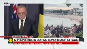 Sydney terror attack: 12 people killed during Bondi Beach attack