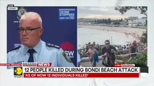 Bondi Beach shooting: PM Albanese said attack on Jewish Australians is attack on every Australian