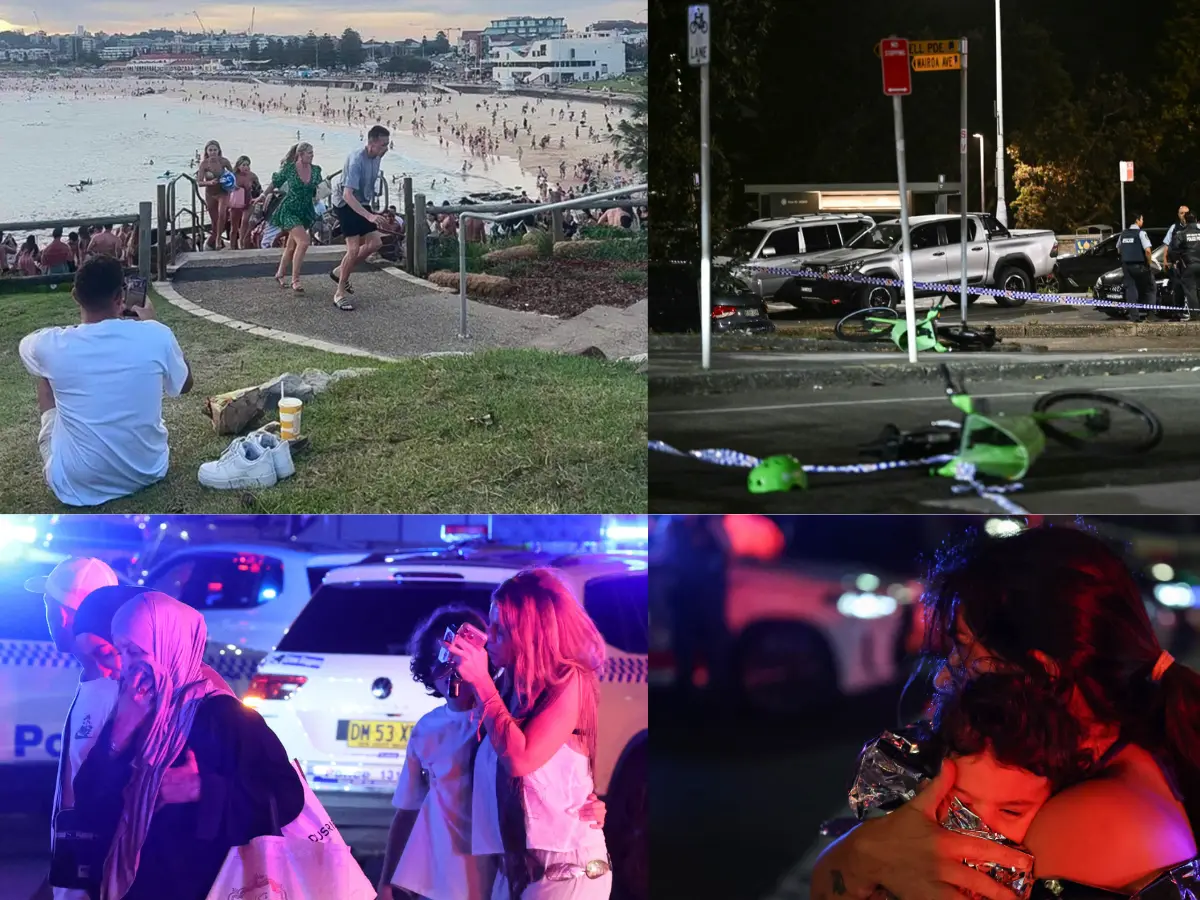 Bondi Beach terror attack: 12 killed, 29 taken to hospital. What we know about the suspects so far Bondi Beach terror attack: 12 killed, 29 taken to hospital. What we know about the suspects so far