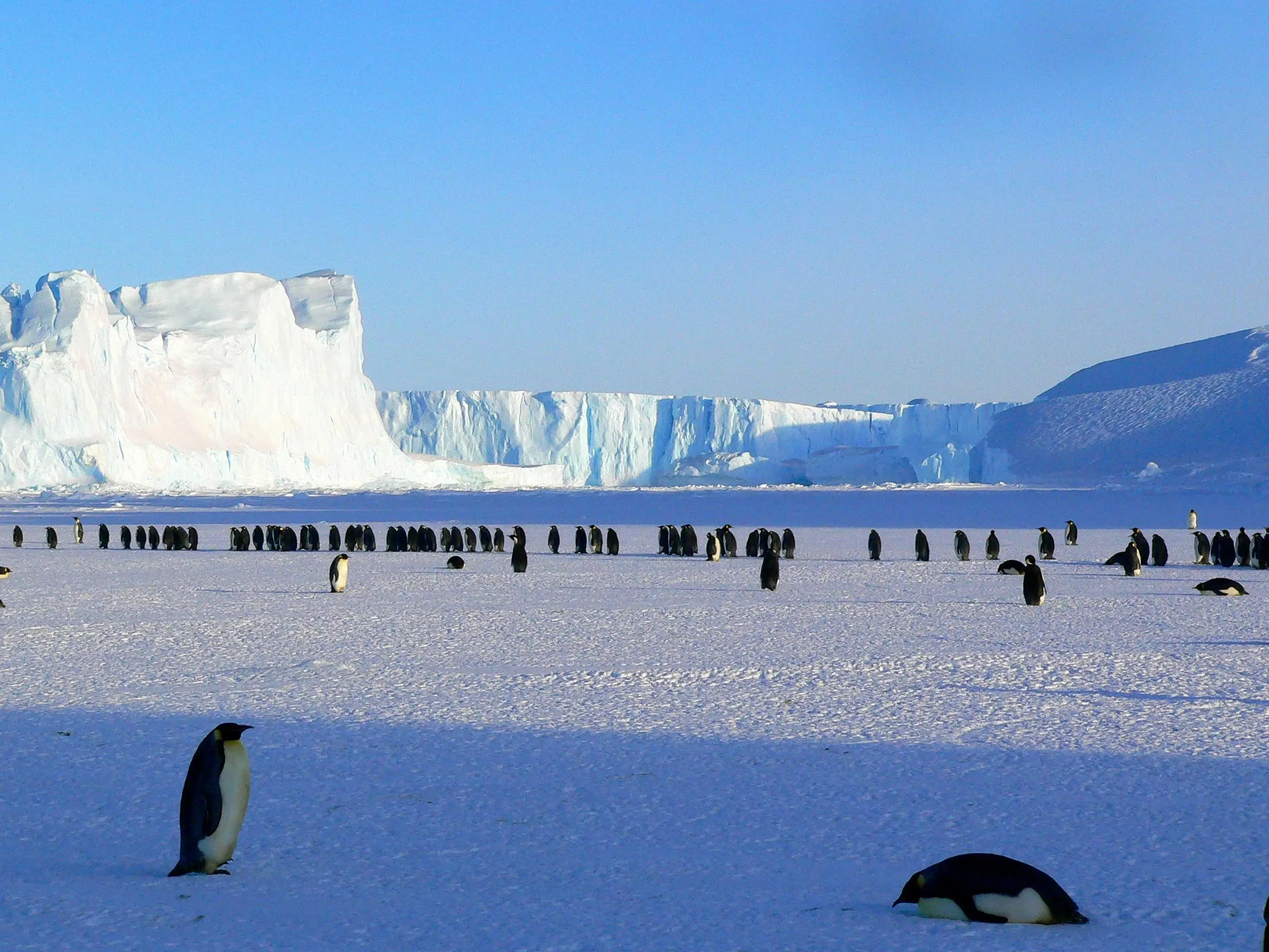 Antarctica