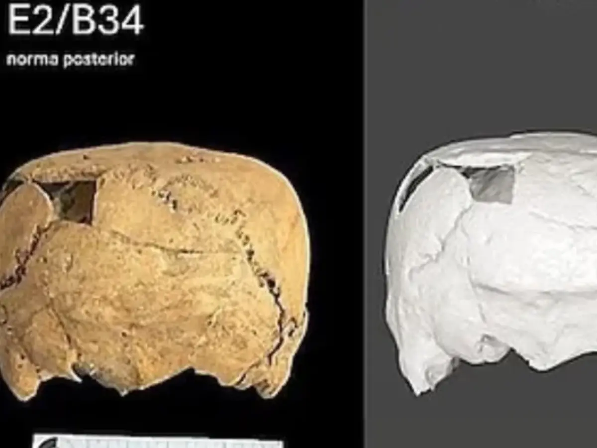 Cube-shaped skull discovery in Mexico stumps scientists: Why is there only one? Cube-shaped skull discovery in Mexico stumps scientists: Why is there only one?