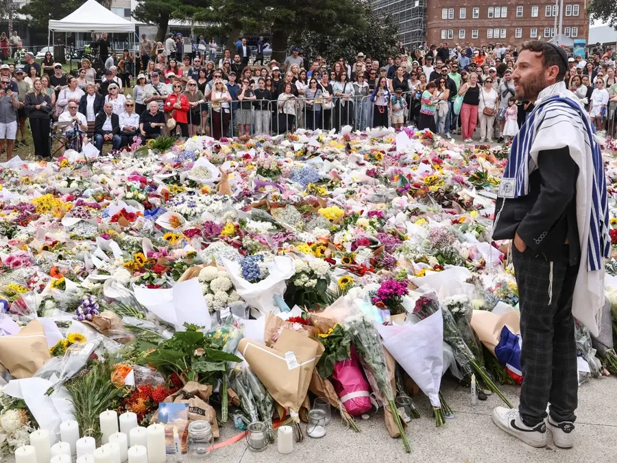 Did search interest for Naveed Akram spike in Tel Aviv ahead of Bondi Beach terror attack?