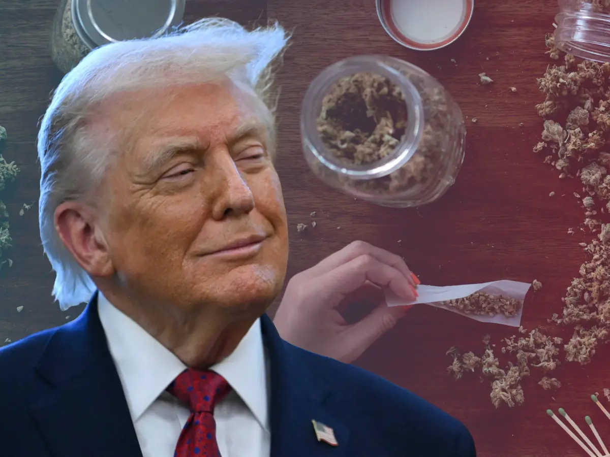 Marijuana 'research' material but fentanyl a 'weapon of mass destruction'? Trump's explosive announcement on devil's lettuce