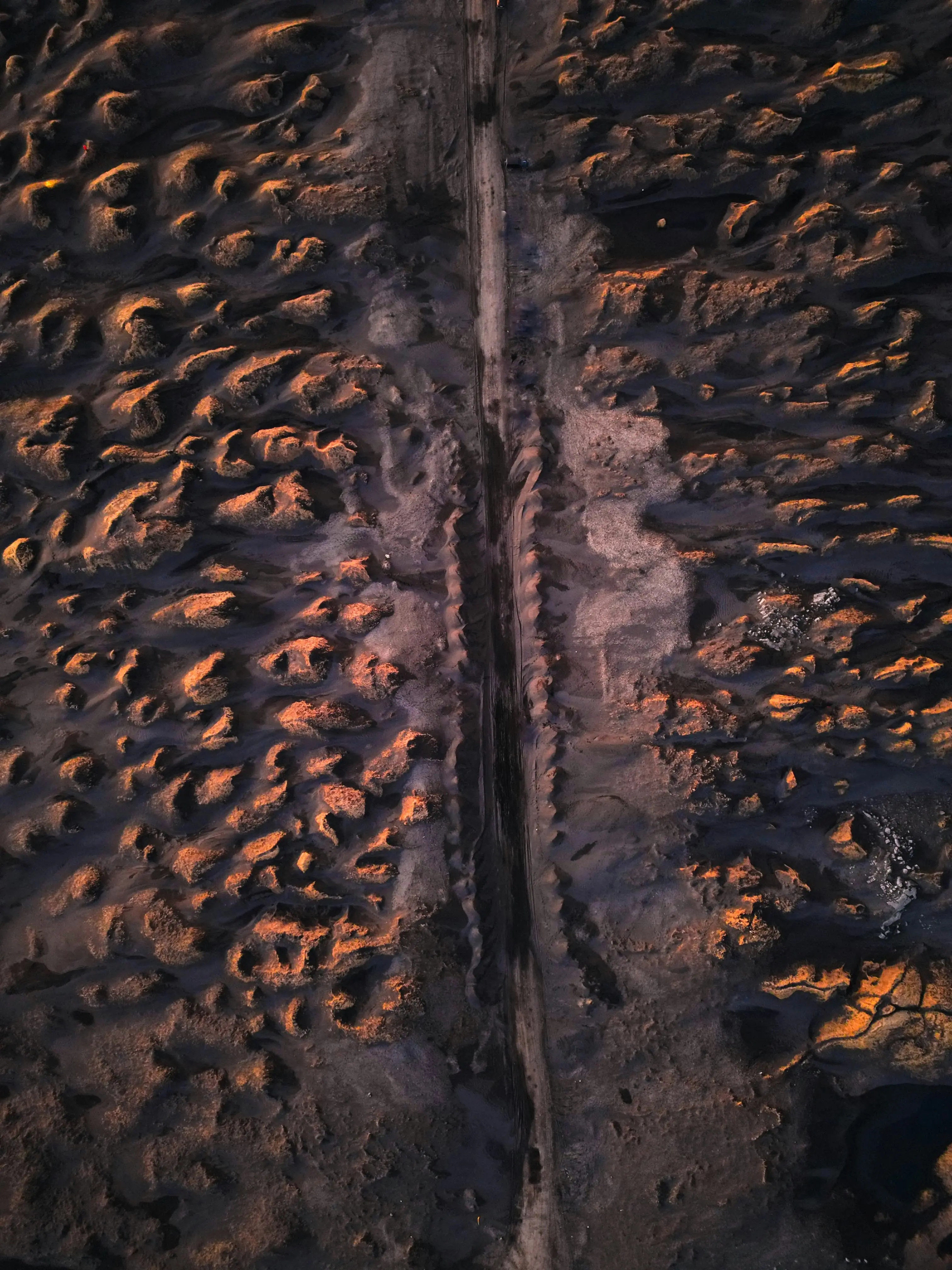 T. rex tooth leads scientists to make a shocking discovery about brute that ate dinosaurs