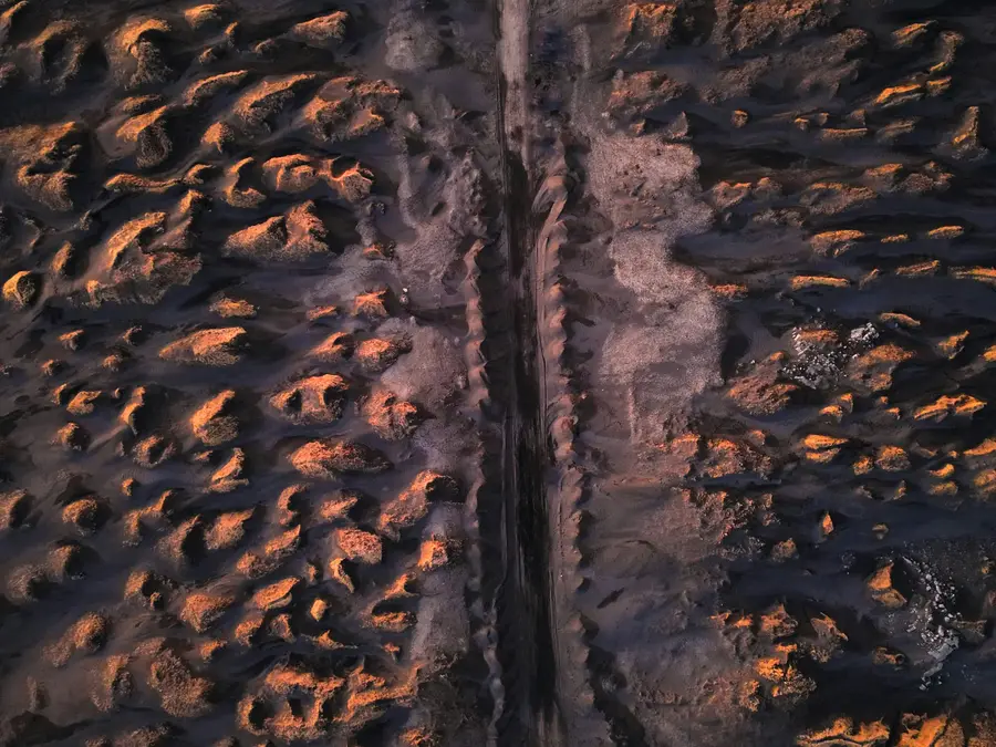 T. rex tooth leads scientists to make a shocking discovery about brute that ate dinosaurs