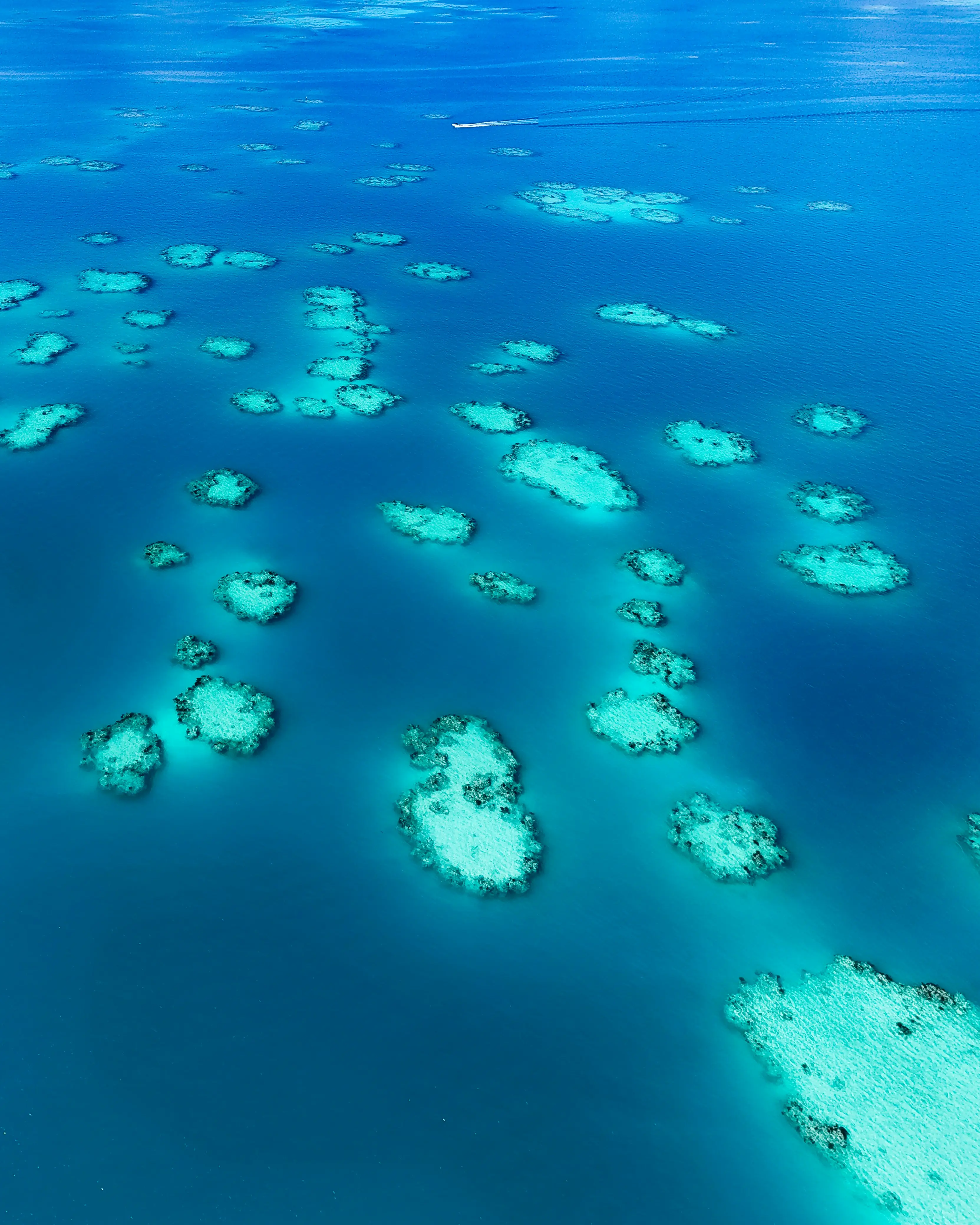 New Bermuda anomaly? Scientists baffled to see secret structure birthed by 31mn-year-old event