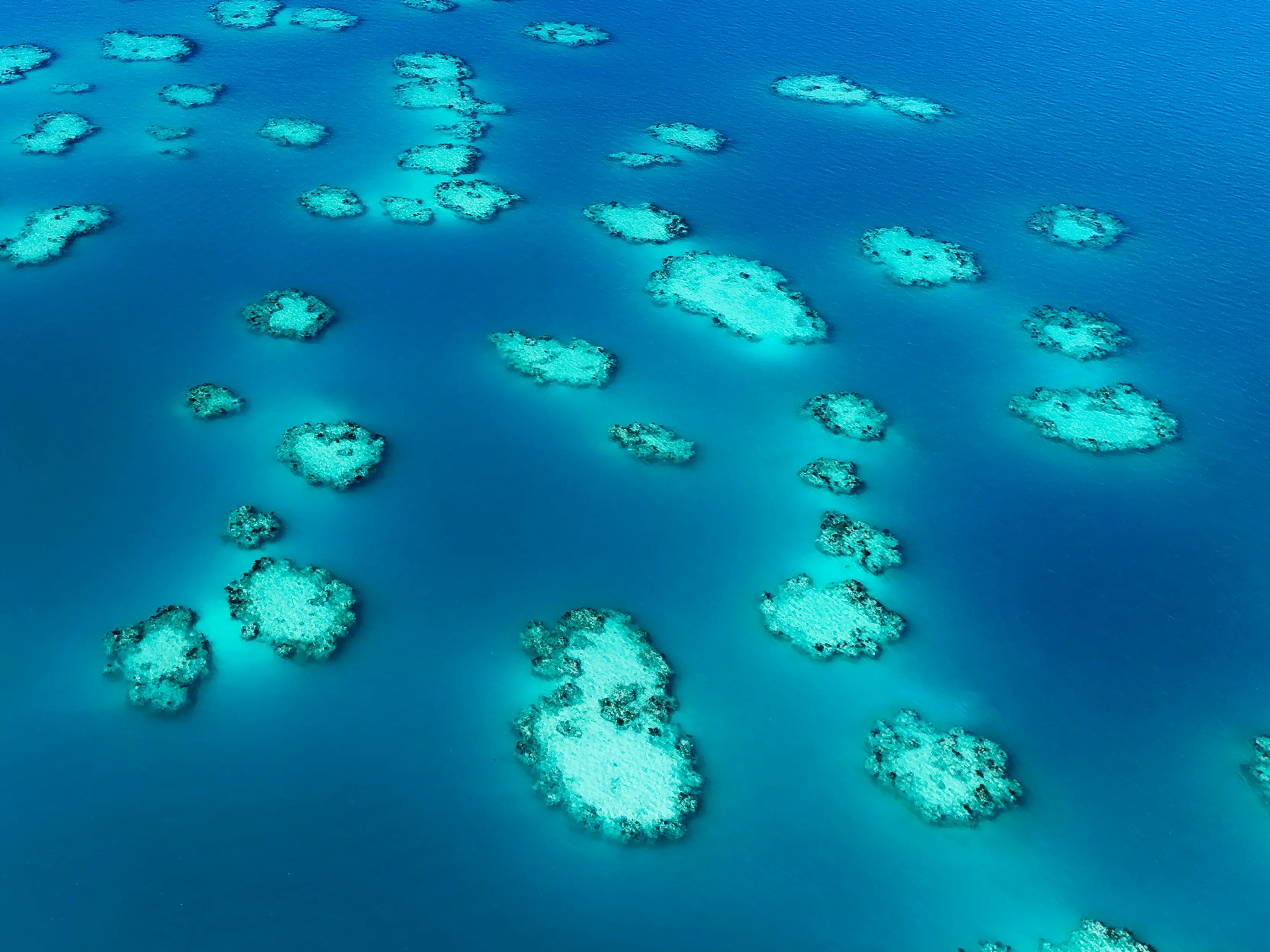 New Bermuda anomaly? Scientists baffled to see secret structure birthed by 31mn-year-old event New Bermuda anomaly? Scientists baffled to see secret structure birthed by 31mn-year-old event