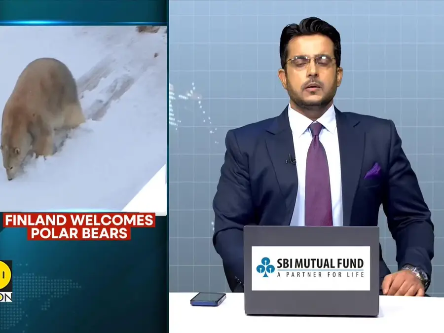 Finland Leads Conservation Efforts to Preserve Polar Bear Population 