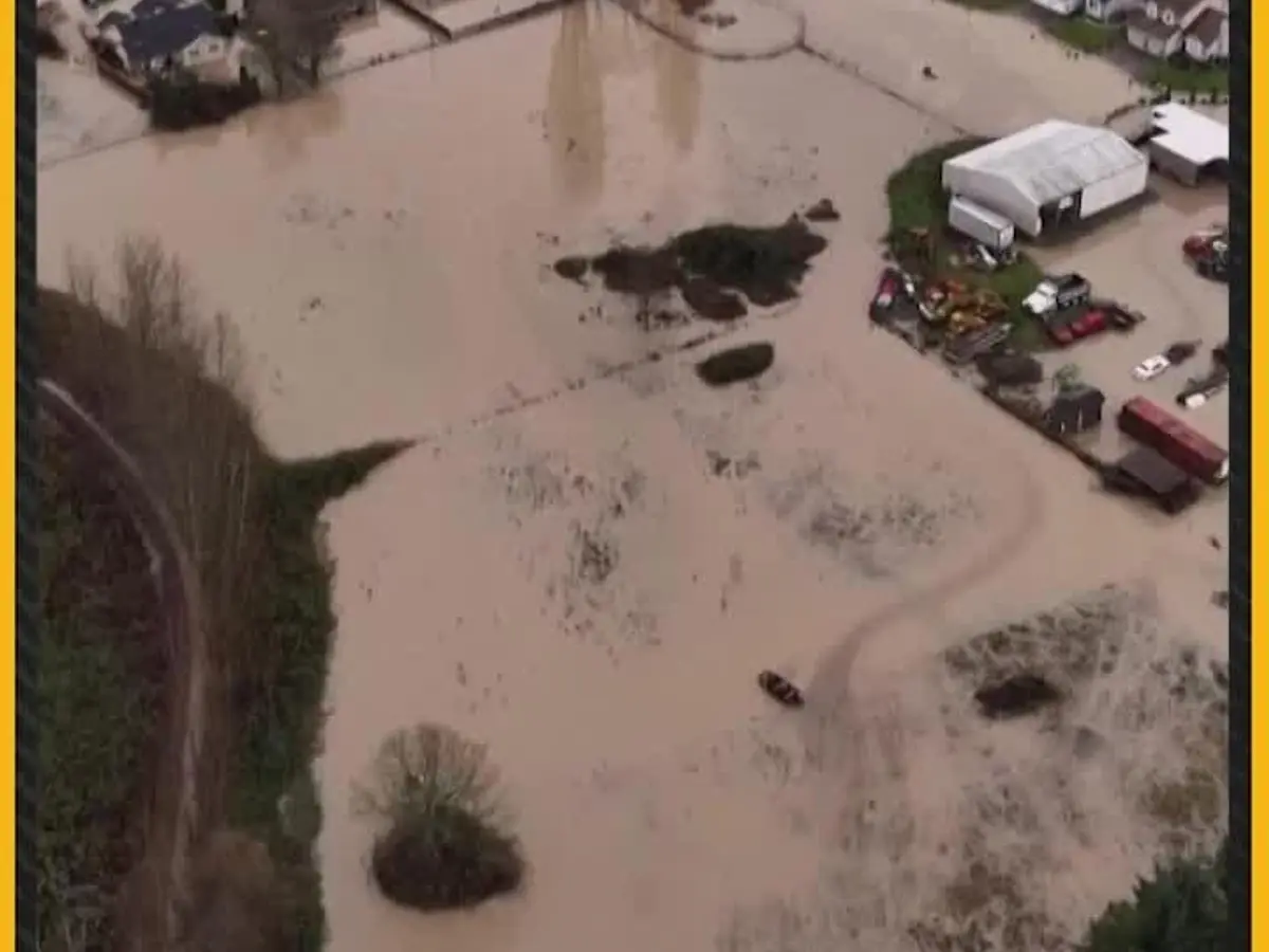 Drone Footage Reveals Scale of Flooding in Washington State