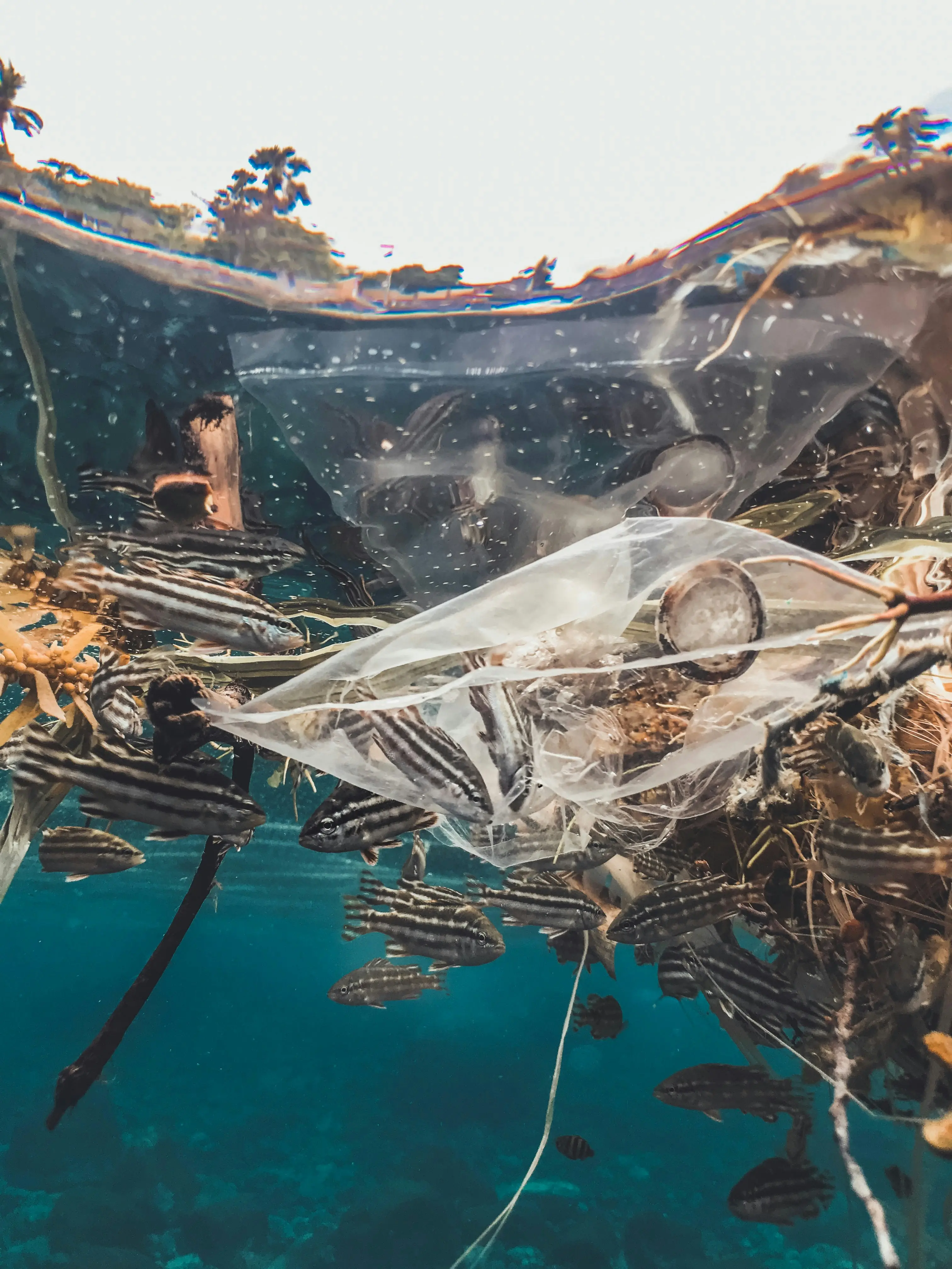 8 million tons of plastic is ripping through the oceans like tornadoes