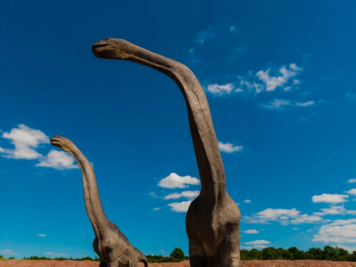 210-million-years old dinosaur footprints numbering thousands uncovered in Italian national park 210-million-years old dinosaur footprints numbering thousands uncovered in Italian national park