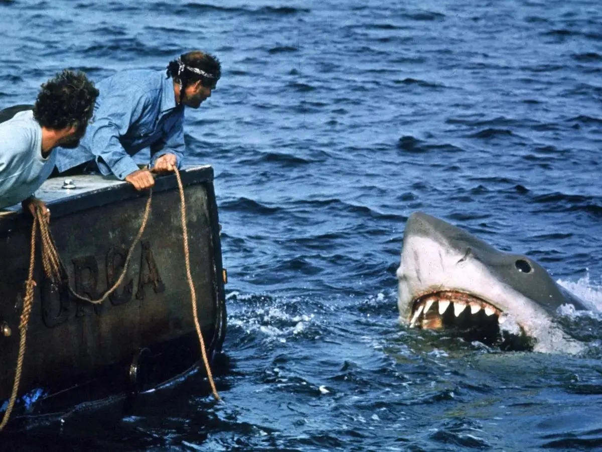 Jaws