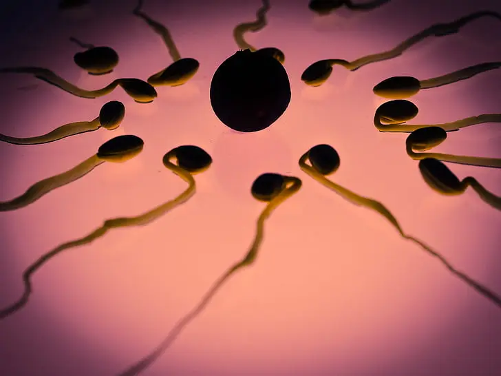 7. AI, Microfluidics Boost Sperm Selection