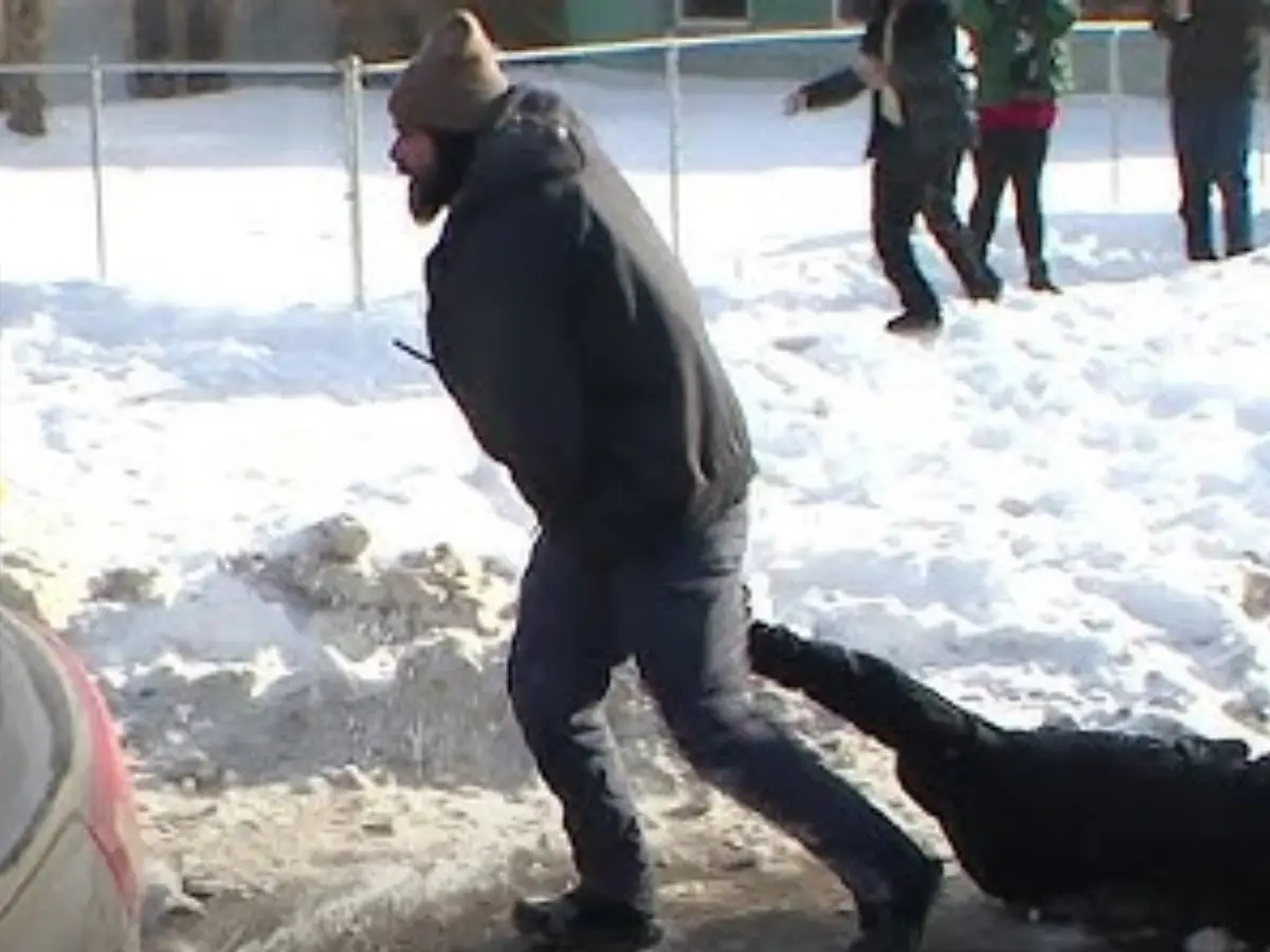 'She's pregnant': Trump's immigration agent drags woman through Minneapolis street, kneels on her; video goes viral