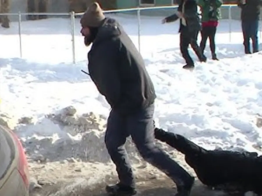 'She's pregnant': Trump's immigration agent drags woman through Minneapolis street, kneels on her; video goes viral