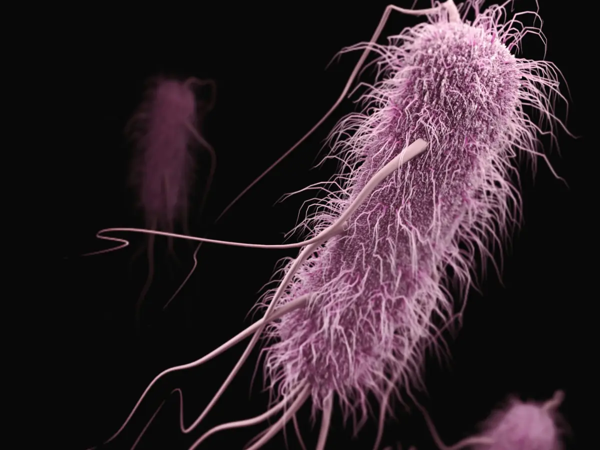 World's longest evolution experiment started 37 years ago, but has already seen 80,000 generations