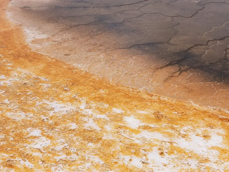 Scientists reveal the hiding place of all the water on Earth 4.6 billion years ago