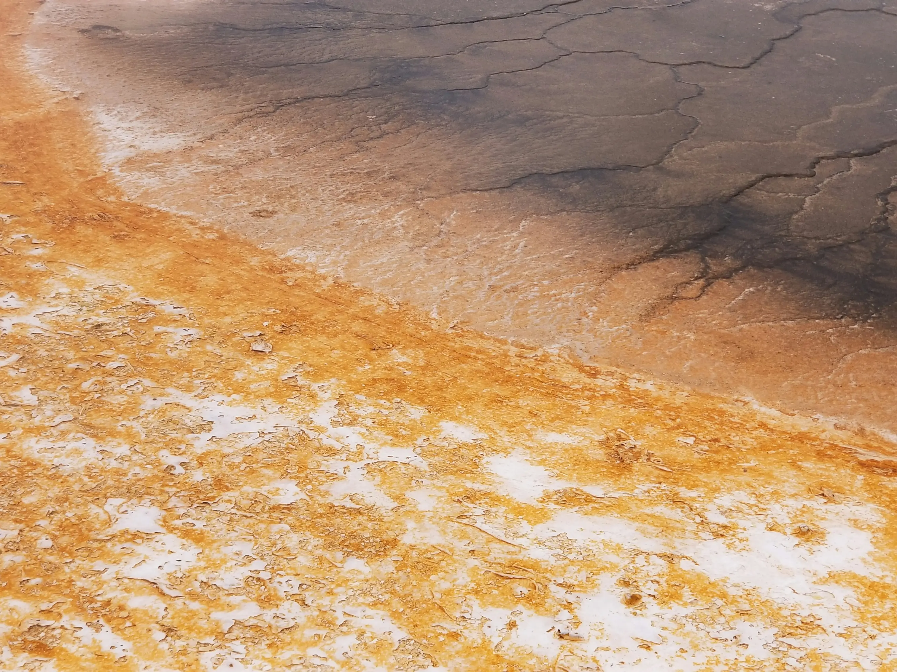 Scientists reveal the hiding place of all the water on Earth 4.6 billion years ago Scientists reveal the hiding place of all the water on Earth 4.6 billion years ago
