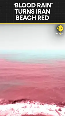 Wion News