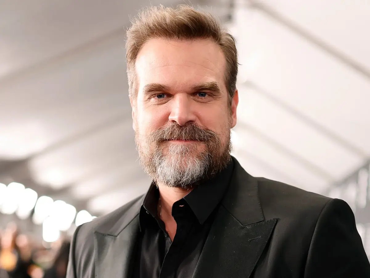 David Harbour to skip Stranger Things finale event following reports of erractic behaviour